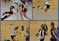 D1_LL_vs_TSV-Winkelheid_20171001